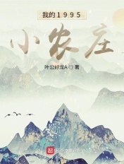 我的1995小农庄