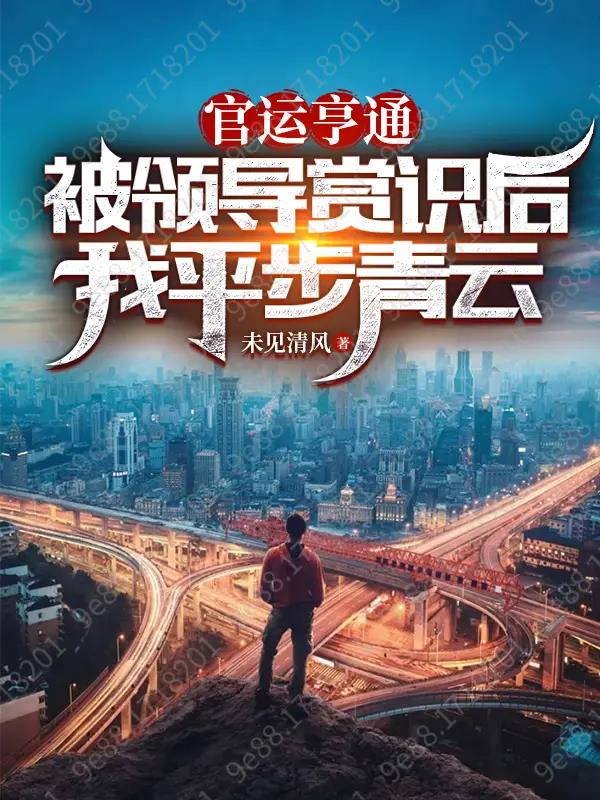 官运亨通:被领导赏识后我平步青云