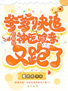 爹爹快追,奶团的神医娘亲又跑了