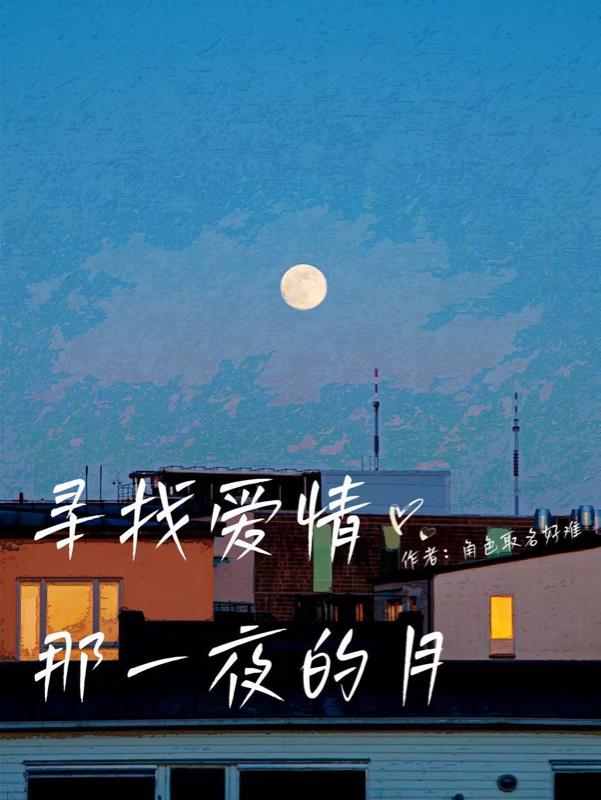 寻找爱情那一页的月